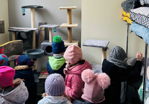 Dzieci oglądają legowiska i drapaki dla kotów