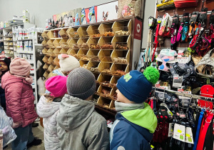 Wynalazcy w sklepie zoologicznym