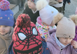 Przedszkolaki na spacerze