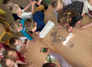 Wiosenne sadzenie rzeżuchy w grupie Tropiciele