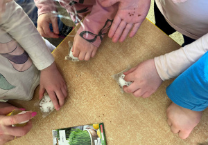 Dzieci wysiewają rzeżuchę