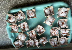 Wysiana rzeżucha przez dzieci