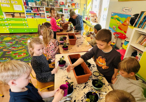 Wynalazcy sadzą kwiatki