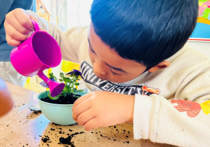 Chłopiec podlewa kwiatka