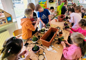 Warsztaty przyrodnicze u starszaków