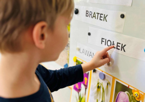 Chłopiec czyta nazwy kwiatów