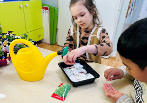 Dzieci zakładają hodowle roślin