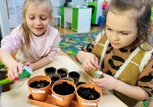 Dziewczyny sieją nasiona