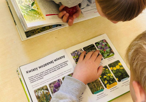 Chłopiec oglądajacy książki przyrodnicze