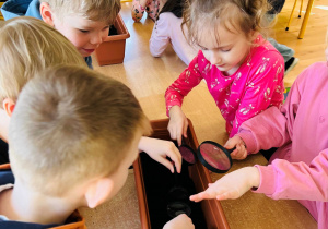 Obserwacja przez lupę