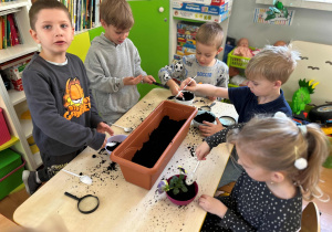 Dzieci przesypują ziemię