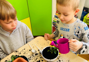 Dzieci podlewają kwiatka