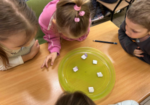 Eksperymenty z kwiatami