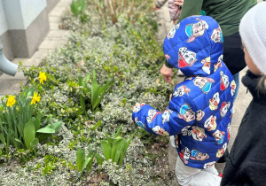 Dzieci oglądają pączki kwiatów