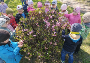 Dzieci podczas zabaw na świeżym powietrzu