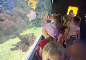 Dzieci podczas wycieczki do Zoo w Łodzi