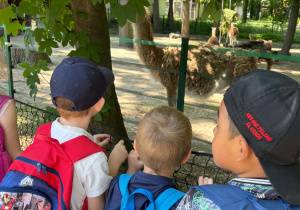 Dzieci podczas wycieczki do Zoo w Łodzi