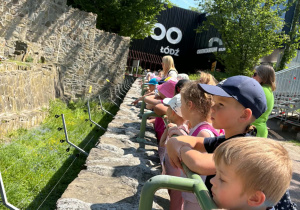 Dzieci podczas wycieczki do zoo