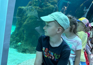 Dzieci podczas wycieczki do Zoo w Łodzi