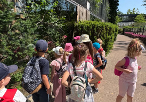 Dzieci podczas wycieczki do Zoo w Łodzi