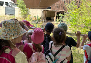 Dzieci podczas wycieczki do Zoo w Łodzi