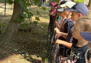 Dzieci podczas wycieczki do Zoo w Łodzi