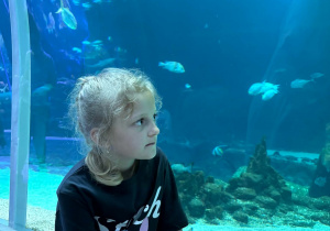Dziewczynka w zoo