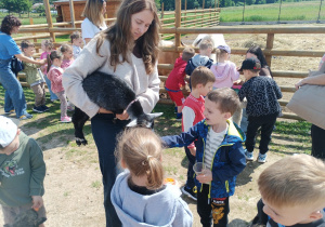 Dzieci karmią zwierzęta