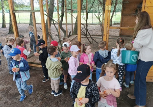 Dzieci karmią zwierzęta