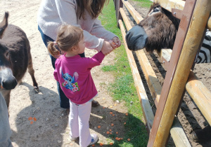 Dziewczynka jeździ na koniu
