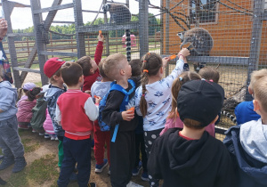 Dzieci dokarmiają zwierzęta