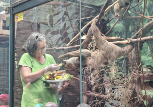 Pani Karmi lemura