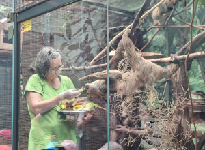 Wycieczka dzieci z grupy Tropiciele do Zoo w Łodzi
