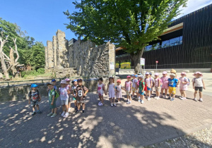 Grupa Tropiciele w Zoo