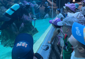 Dzieci w oceanarium oglądają pracę nurków