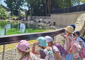 Dzieci wypatrują pingwinów