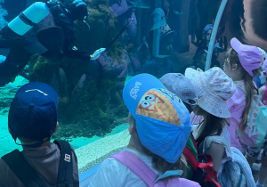 Dzieci w oceanarium oglądają pracę nurków