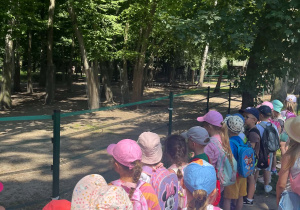 Dzieci oglądają zwierzęta