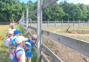 Dzieci podczas wycieczki oglądają zwierzęta