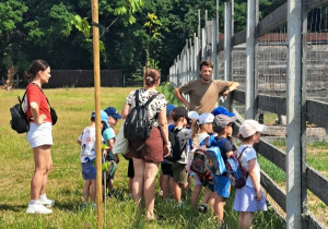 Dzieci podczas wycieczki oglądają zwierzęta
