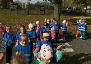Maluszki uczą się przechodzić przez przejście dla pieszych