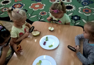 Dzieci oglądają owoce przez lupę