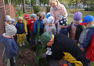 Dzieci słuchają ciekawostek o lesie