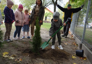 Dziecko zakopuje posadzoną tuję