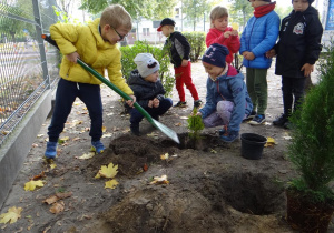 Chłopiec wybiera miejsce dla nowej sadzonki