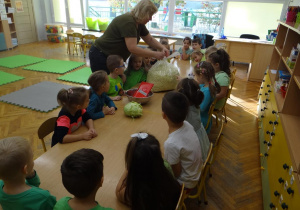 Nauczycielka opowiada o kiszeniu kapusty