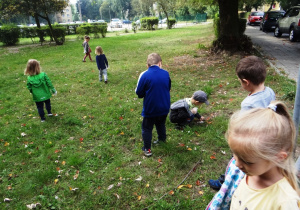 Dzieci sprzątają zieleń