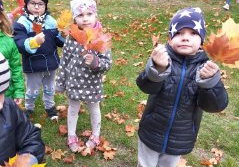 5 latki szukają oznak Jesieni