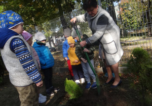 Chłopiec z Odkrywców posadził drzewo