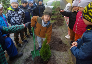 Chłopiec z Myślicieli podczas sadzenia drzewka